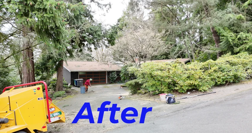 Tree Removal 2 a person mowing the driveway