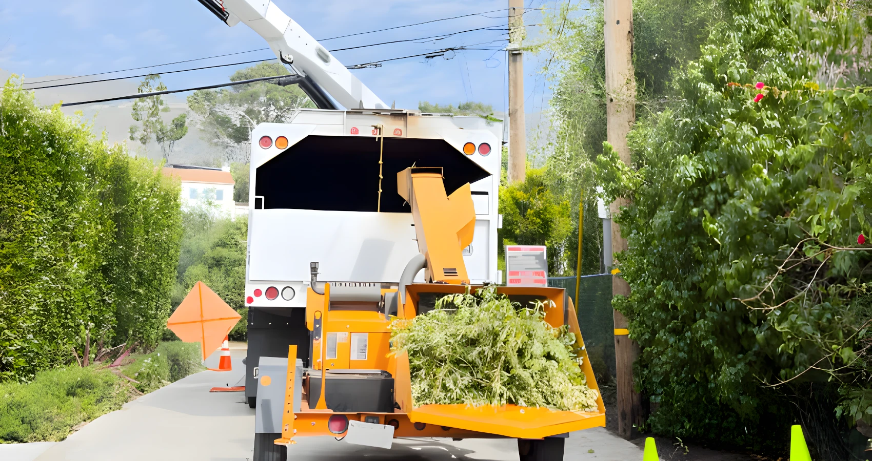 fircrest washington tree brush chipping and cleanup service