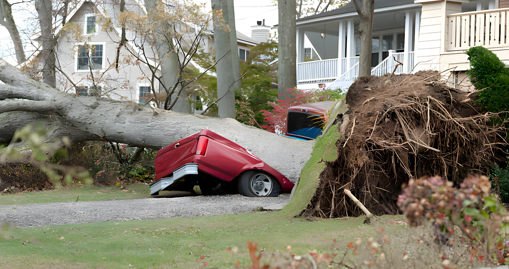 hunts point 24/7 emergency tree response