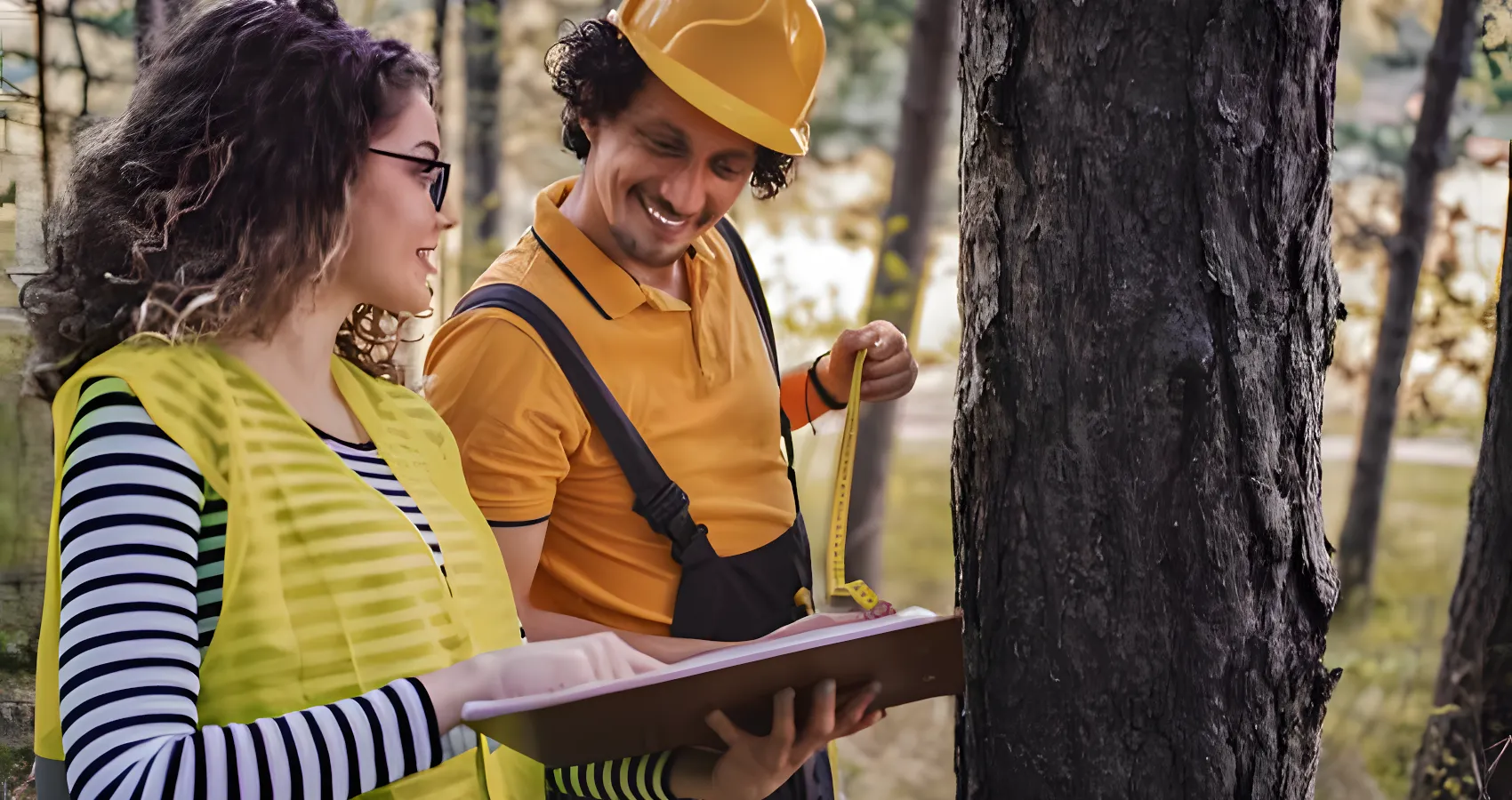 best tree evaluation reports service for thurston washington