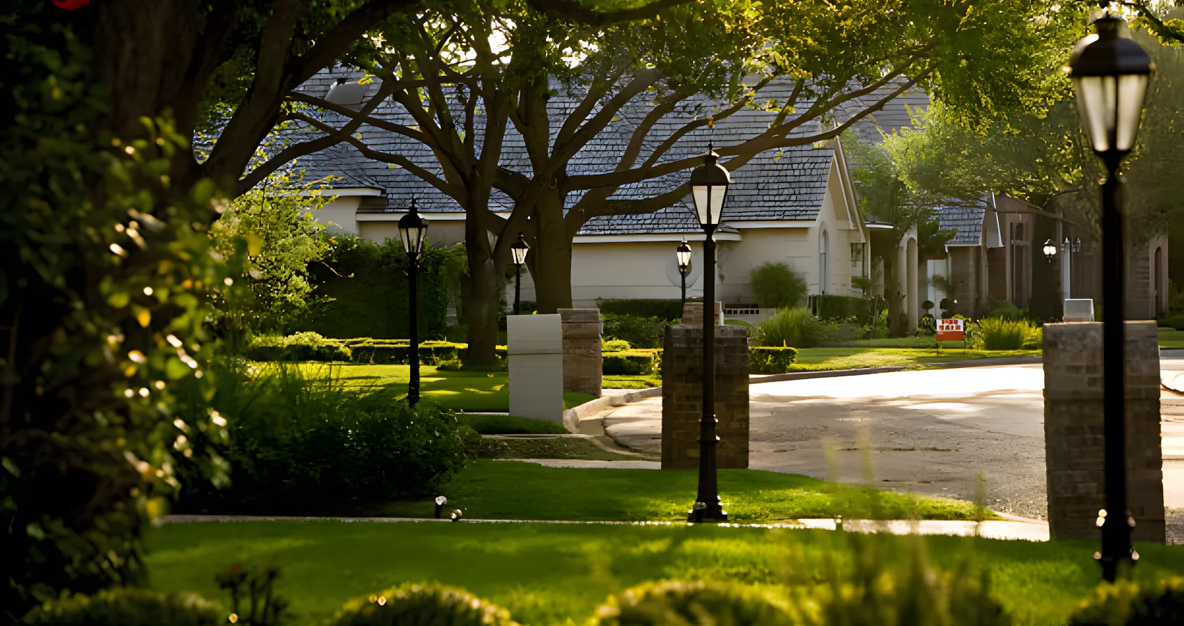 tree reduction lakewood