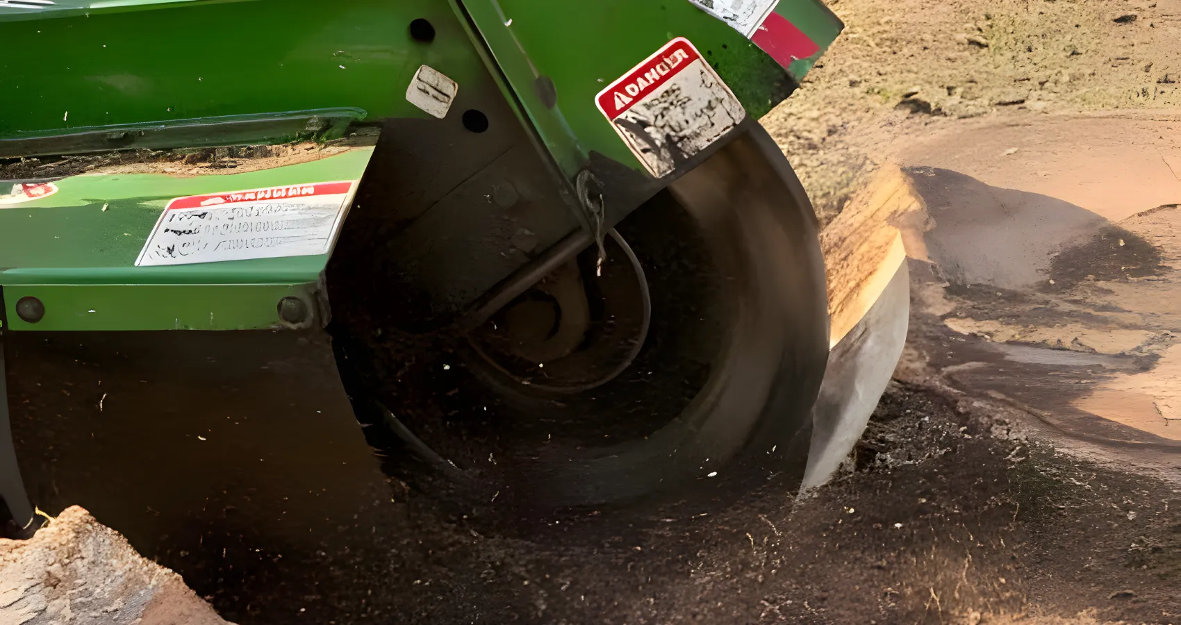 best tree stump grinding and removal service for lake stevens washington