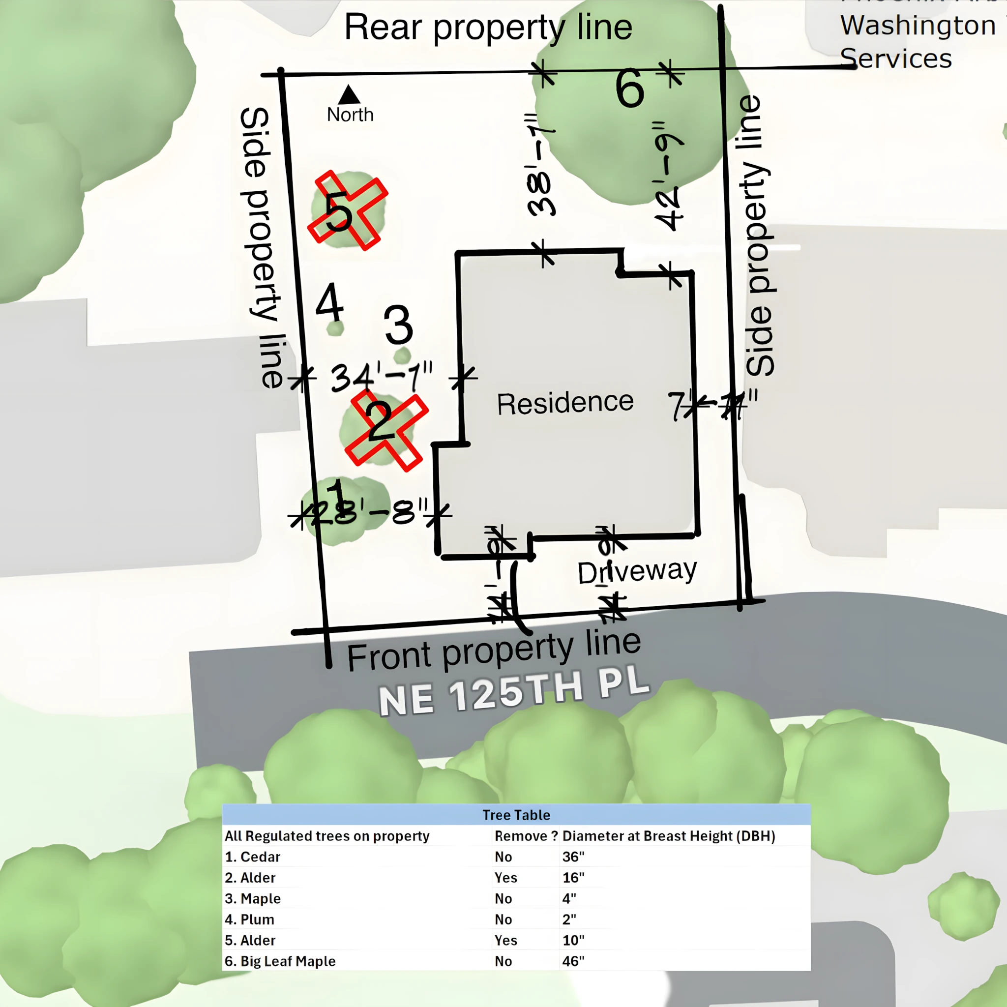 index tree permit