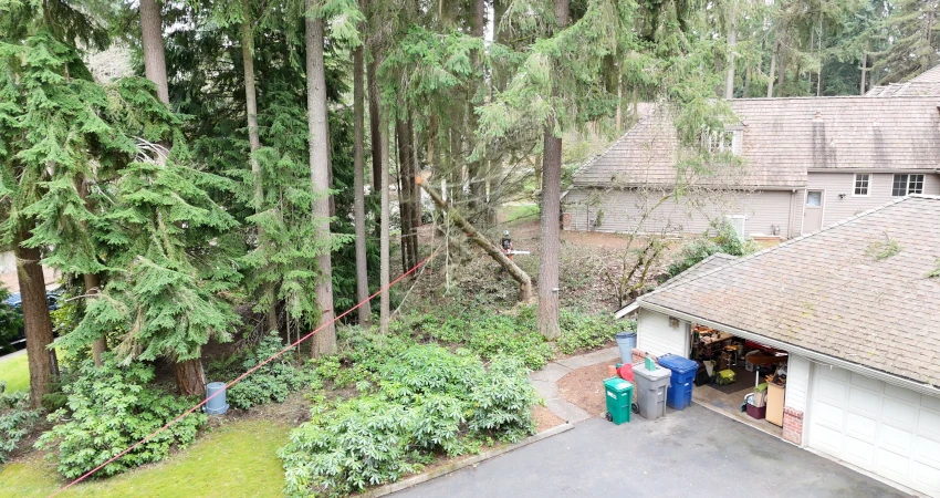 Safe Removal of Three Large Storm-Damaged Trees in Redmond 3 Page4 850 450