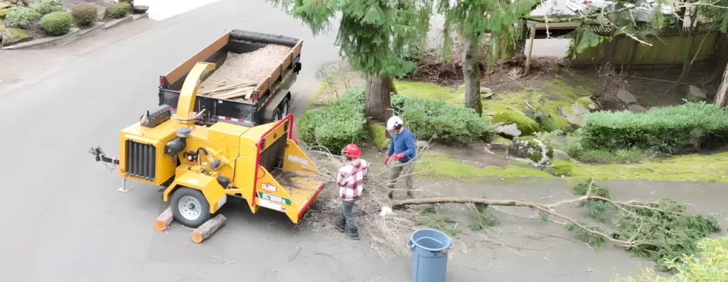 Onsite Brush Chipping in Kirkland