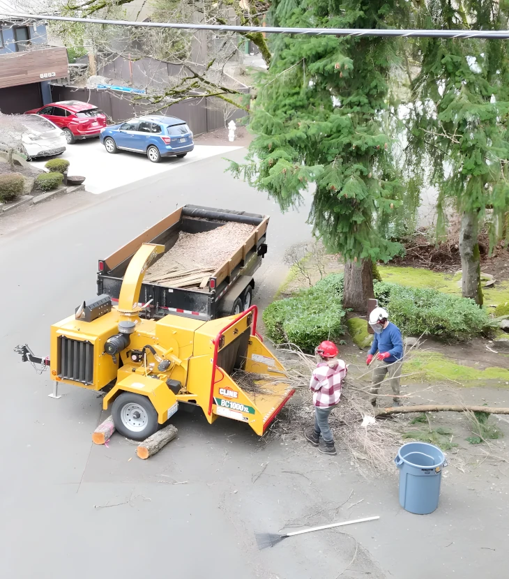 Tree Removal Made Easy With On-Site Wood Chipping