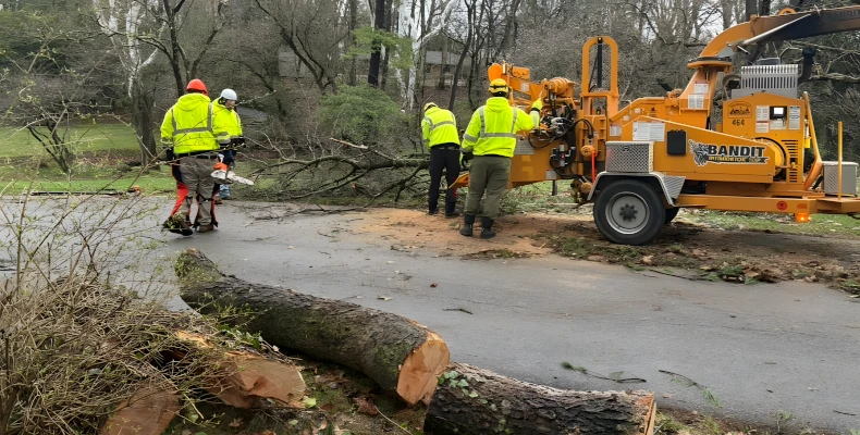 Onsite Brush Chipping