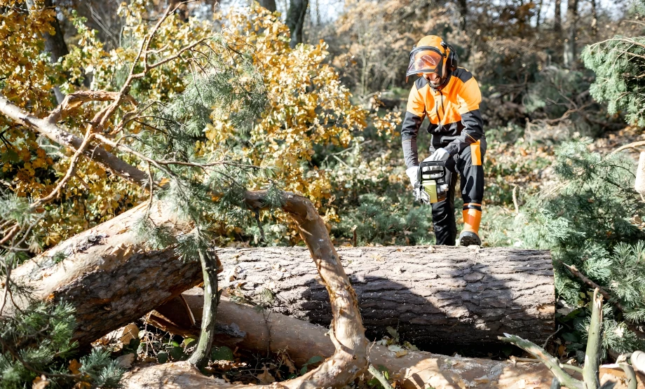 Our Story - Safe Tree Removal