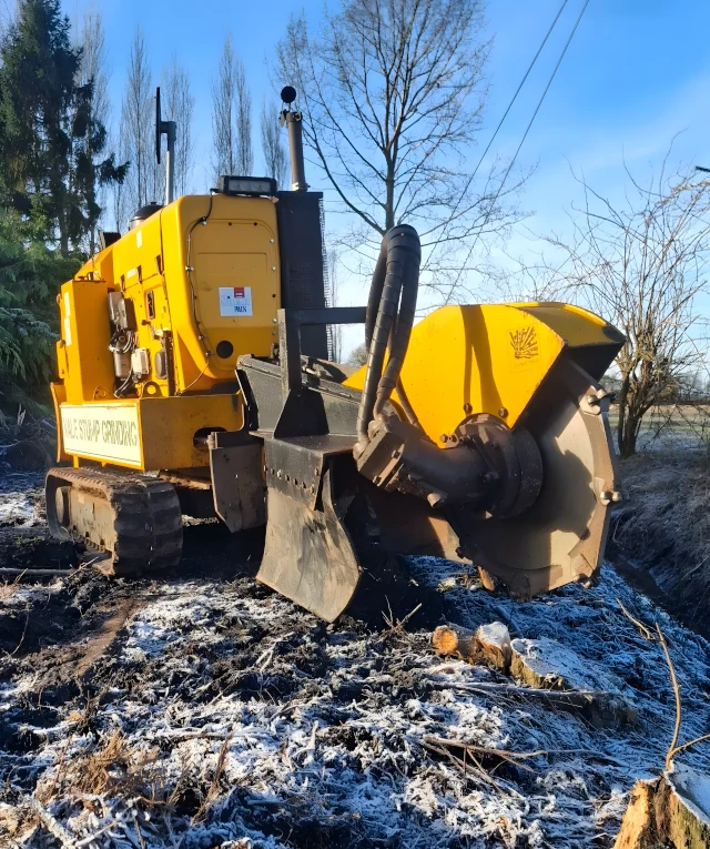 Stump Grinding